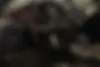 ب ام و،  سری 2 کروک
