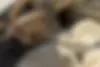 بنز،  کلاس E