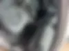 جیلی،  امگرند 7