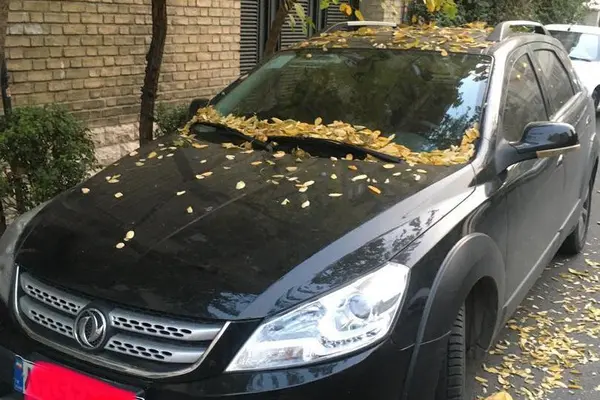 دانگ فنگ  H30 کراس