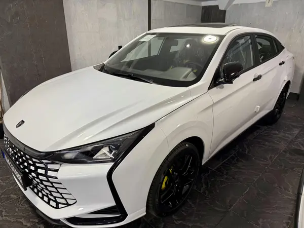 لاماری، اکو