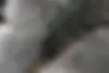 سمند  LX