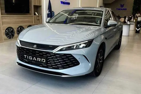 بی وای دی، چین L