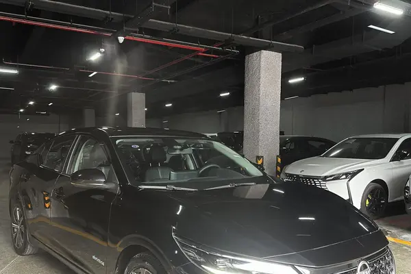 نیسان، سیلفی