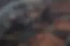 ب ام و  X4