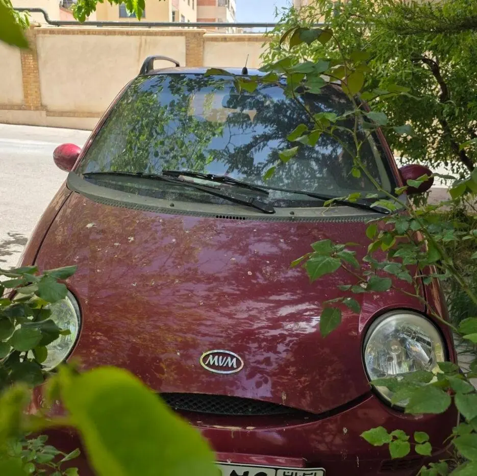 ام وی ام،  110