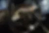 اوتار،  11EV