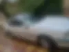 پژو، پارس