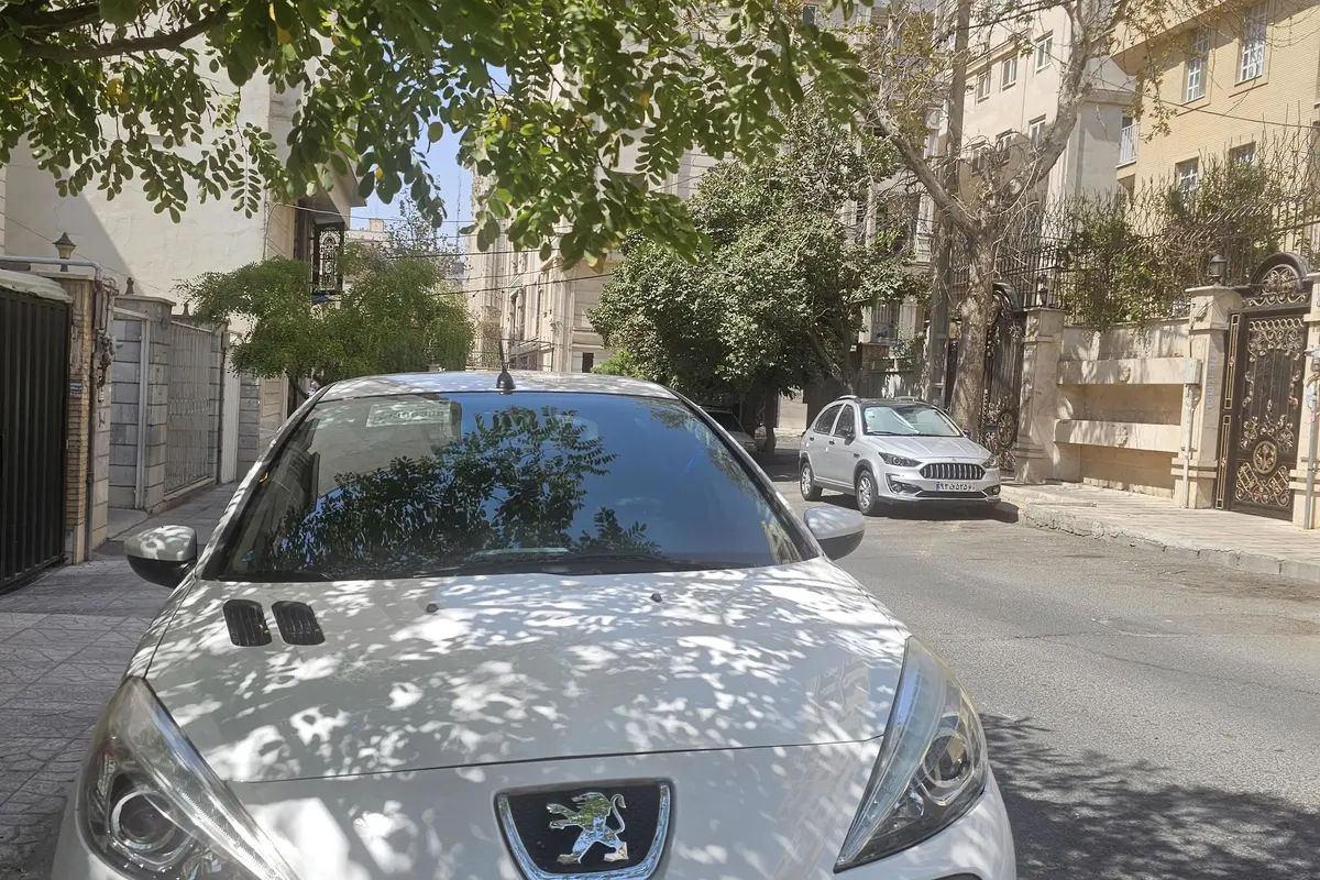 پژو،  207