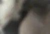 جک،  جی 5