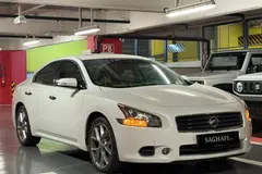 نیسان، ماکسیما