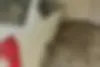 ام وی ام،  530