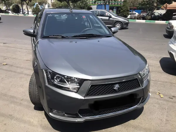 دنا، معمولی