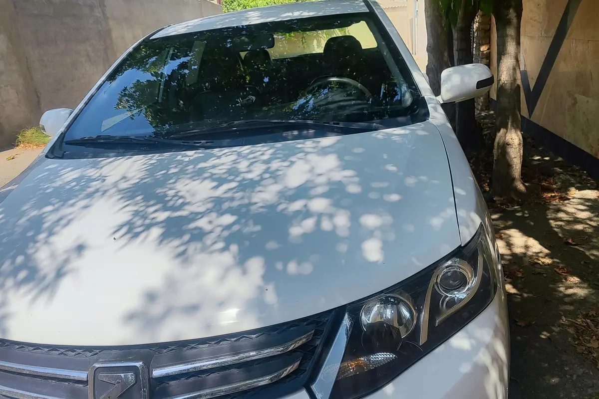 زوتی،  Z300