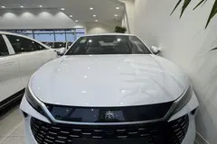 بی وای دی، چین ال DMi