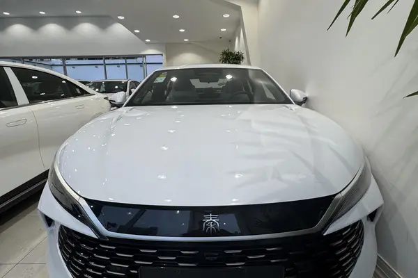 بی وای دی، چین ال DMi