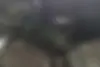 سمند،  سورن