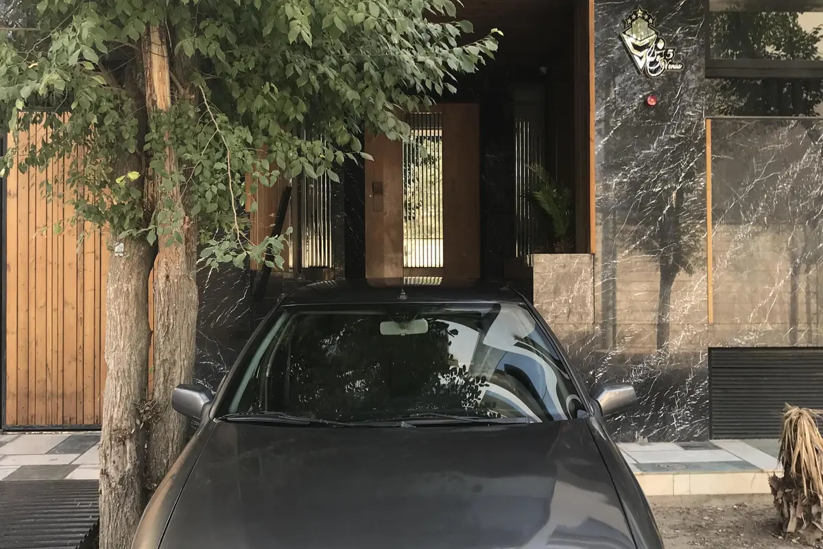 سیتروئن،  زانتیا
