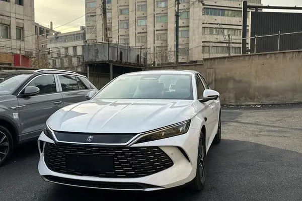 بی وای دی، چین ال DMi