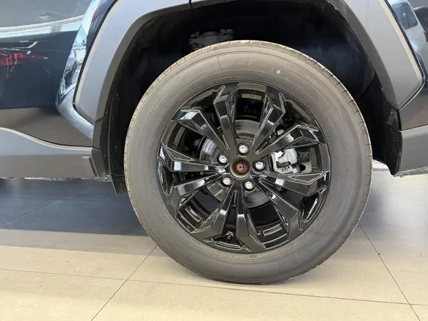 تویوتا، راوفور