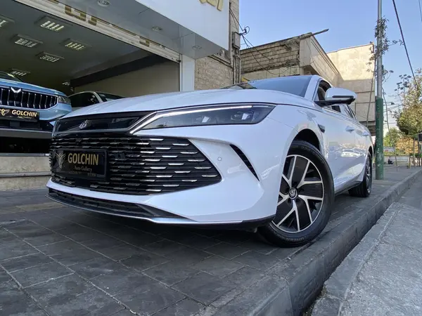 بی وای دی، چین ال DMi