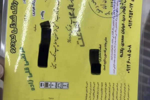 رنو  ساندرو