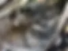 رنو،  تالیسمان