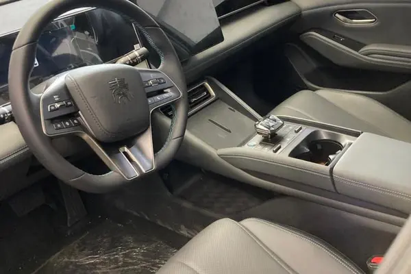 بی وای دی، چین L