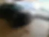 چانگان، CS 55 پلاس