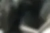 فونیکس  FX