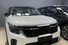 کیا، سلتوس