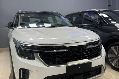 کیا سلتوس