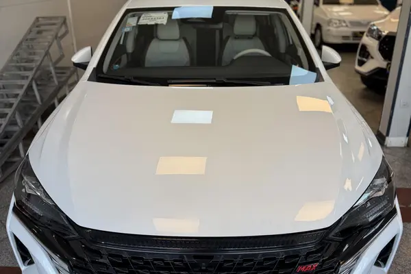 دانگ فنگ، شاین مکس