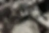 لاماری  ایما