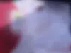 فونیکس،  تیگو 8 پرو