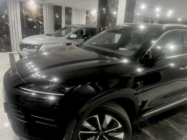 بی وای دی، سانگ پلاس DMi