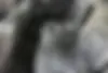 کیا  اسپورتیج