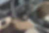 هوندا  آکورد