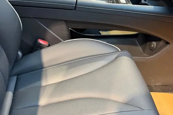 پیش فروش فونیکس، FX EV