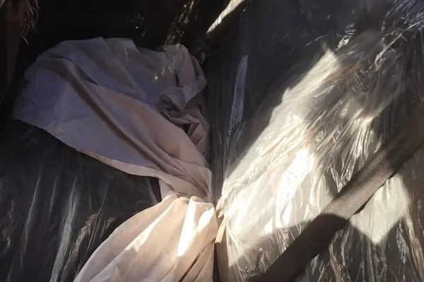 دنا، پلاس EF7P