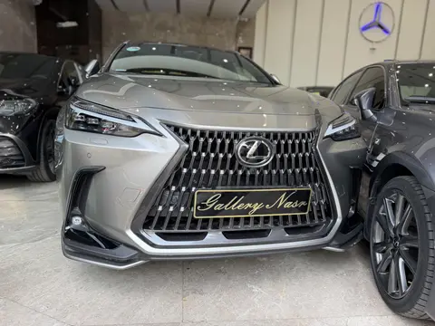 لکسوس، NX
