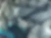 هوندا،  آکورد