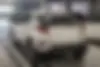 کیا،  پیکانتو