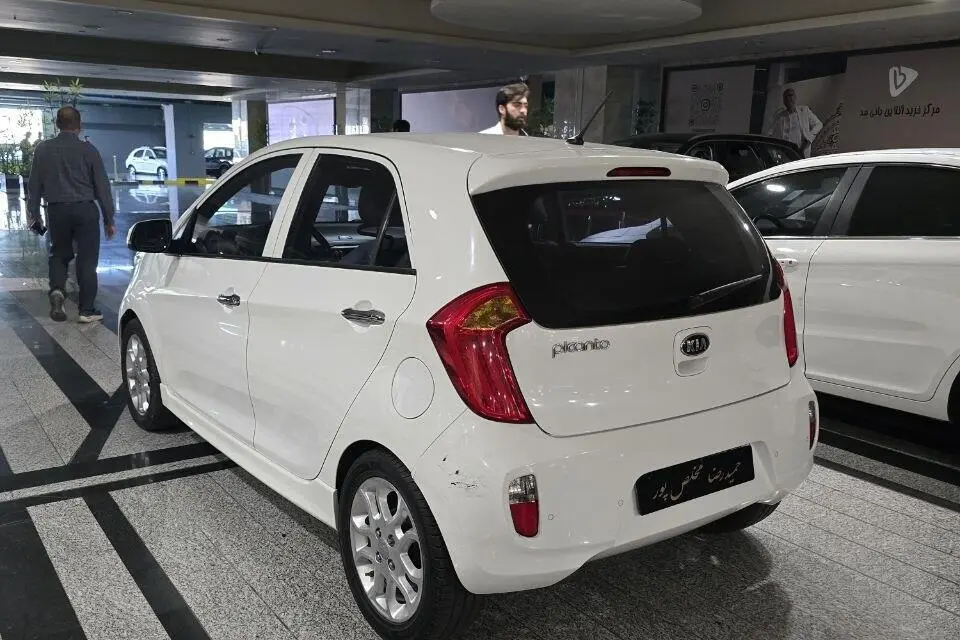کیا،  پیکانتو