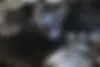 کیا  سورنتو