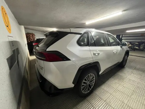 تویوتا، وایلدلندر