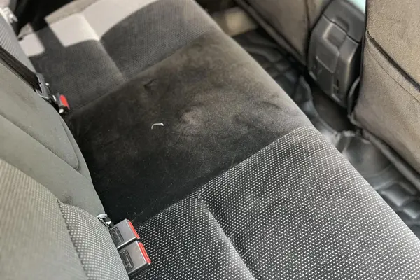 دنا، پلاس EF7