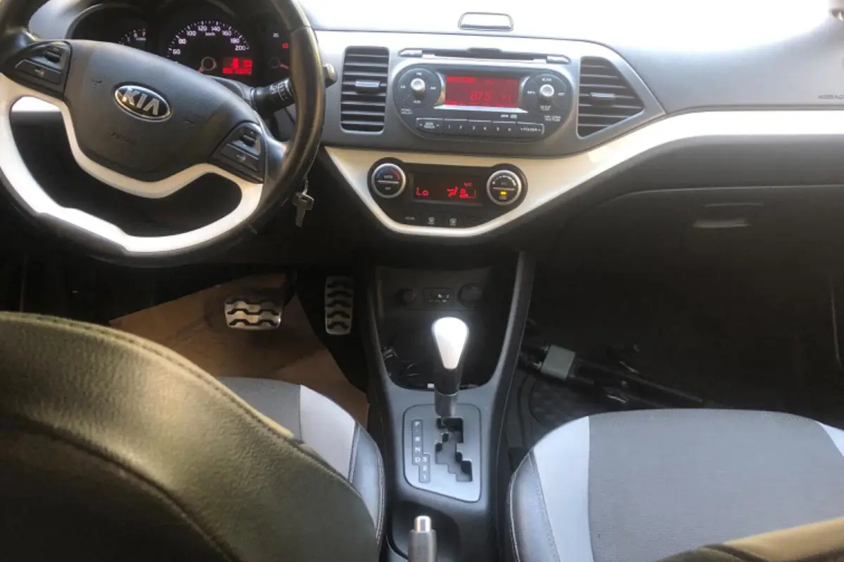 کیا،  پیکانتو