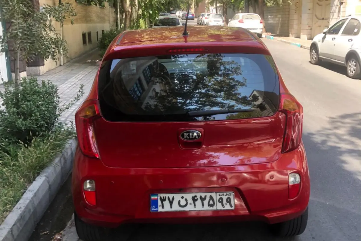 کیا،  پیکانتو