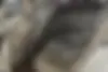 بنز  کلاس E